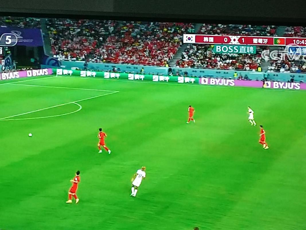 韩国vs葡萄牙直播