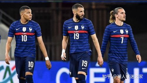 欧洲杯直播:匈牙利VS法国的相关图片